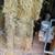 2024 Alfalfa Hay 2 thumbnail