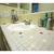 1 Bedroom Apartment Within Walking Distance to UT Austin 8 thumbnail