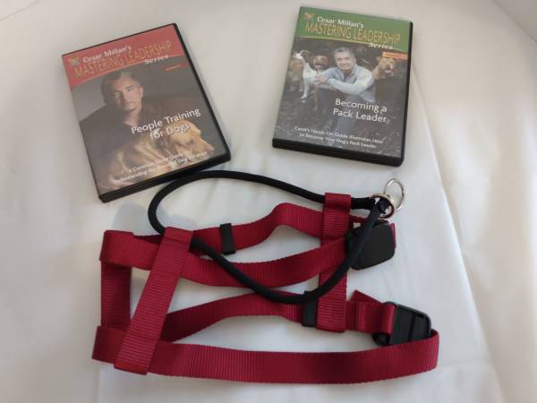 Illusion Dog Collar and Cesar Millan 2 DVD Training Guide 1