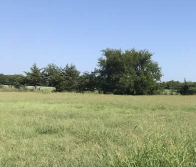 $150,000 Building Site/ Ranchette Three Acres (Bonham, Texas)63656567272835122