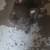 French bulldog 3 thumbnail