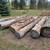 8 OVERSIZE LOGS $5 EACH 1 thumbnail