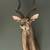 Vintage Greater Kudu African Shoulder Mount Large Taxidermy 2 thumbnail
