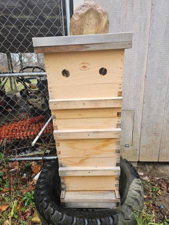 2 Bee colonies 1