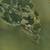 7 Acres of Farm Land for Lease 14 thumbnail