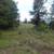 40 Acre parcel - Additional parcel available 12 thumbnail