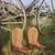 Mens Western Cowboy Boots 13D 1 thumbnail