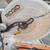 Rigid Compounding Dual Bevel Miter/Chopsaw 5 thumbnail
