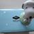 PEANUTS SNOOPY WOODSTOCK FIGURINE SALT PEPPER BEATLES CARDS TRAVOLTA 4 thumbnail
