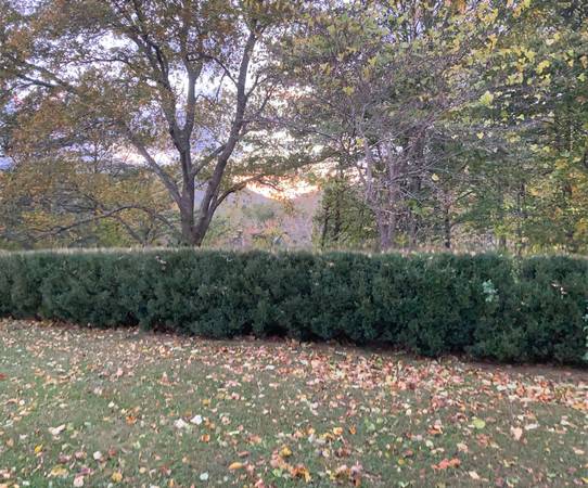 $800 / 1br - 500ft2 - One bedroom apt (Fairview)64029375938435120