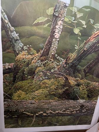 Ernest Lindner 1967 "Deep In The Woods" 1