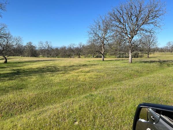 $110,000 COTTONWOOD LOT 28 WITH 40 ACRES,  VIEW AND ACCESS (COTTONWOOD)63972381963139124
