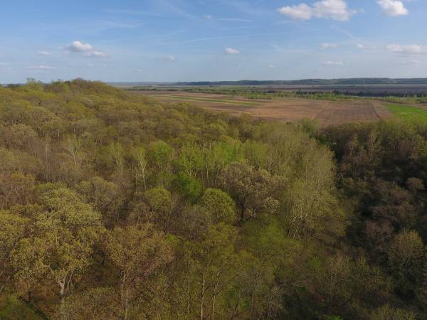 $69,500 3.58 Acres, Holt County, MO (Forbes)63427800075523120