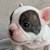 Available bulldogpuppy+174736542one6 1 thumbnail