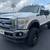 2015 Ford F-250 Super Duty XLT 4X4 4 thumbnail