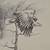 EAGLE 21 x 17  DRAWING IN FRAME  # VINTAGE 4 thumbnail