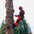 🏡🪵TREE REMOVAL 🌳& STUMP REMOVAL 📞CALL OR TEXT 💬253-414-3805 7 thumbnail