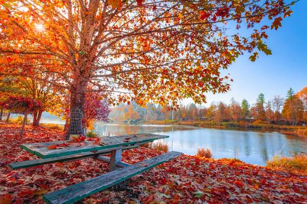 With a gorgeous lake view 1