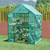 Greenhouse, Walk-in 4 thumbnail