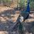 Peacocks 4 thumbnail