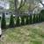 Jr landscaping and tree services 10 thumbnail