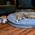 Outdoor Rescued puppies 6 thumbnail