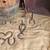 Hand welded Horseshoe I love u and love wine signs 1 thumbnail