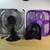 Fans $10.00 each 1 thumbnail