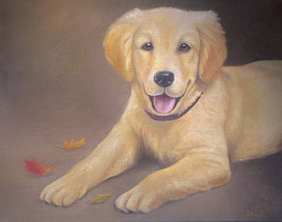 Custom Fine Art Portraits — Pets, Kids, Homes & More!64280661843329122