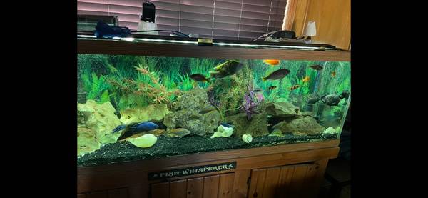 125 gal aquarium 1