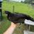 Gamefowl 1 thumbnail