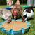Muscovy Ducks 3 thumbnail