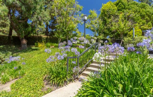 $2,895 / 2br - 🌴BEAUTIFUL 2X2!!  FIRST MONTH FREE!!🌴 LA  JOLLA  APPLY  TODAY (LA JOLLA SHORES)63663888810115122