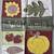(6) DIFFERENT Decorative Garden Flag 18 x 12.5 inches. 2 thumbnail