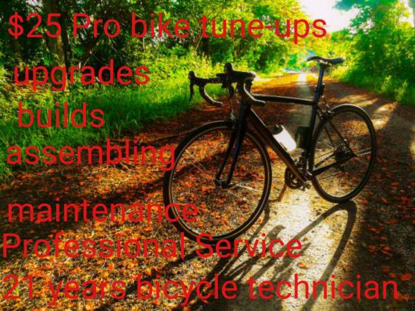 Pro tune ups $25/ repairs/ebikes 1