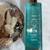 Bath & Body Works At the Beach Set! 5 thumbnail