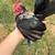 Assorted bantams and chickens 1 thumbnail