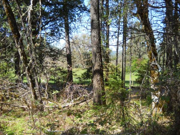 $135,000 25k down 4.75 ac Sunny Valley.  Wooded, gently sloping land zoned RR5 (Sunny Valley)64192594955009124