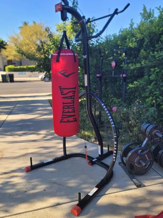 Everlast stand with pull up bar and punching bag 1