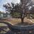 Local contractor. Hardscapes, landscaping, fence build and stain, shed builder, 7 thumbnail
