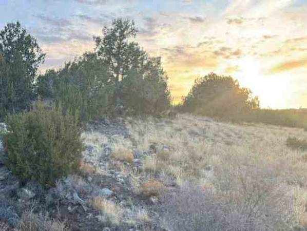 $150 /mo. 0.37-Acre Retreat with Beautiful Views! (Concho, AZ)63806044800385120