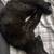 Rehoming pets 1 thumbnail
