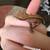 Crested gecko 5 thumbnail