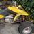 Honda 400 EX Quad, $275.00 O.B.O. 20 thumbnail