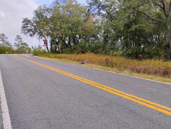 $62,100 / 112385ft2 - Nice builable 2.58 AC Resid lot that you can divide into 2 parcels (Interlachen)63822864076673121