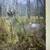 2025 - Hunting Lease on LAKE 11 thumbnail