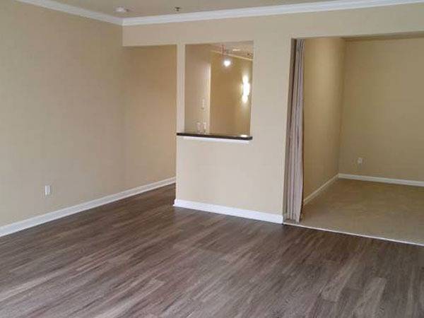 LARGE Studio, SAVE NOW $ Ask about our Special, w/d Tall Ceilings 1