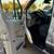 2018 FORD TRANSIT 350 VAN LOW ROOF W/60/40 SIDE DOOR W/LWB VAN 3D 22 thumbnail