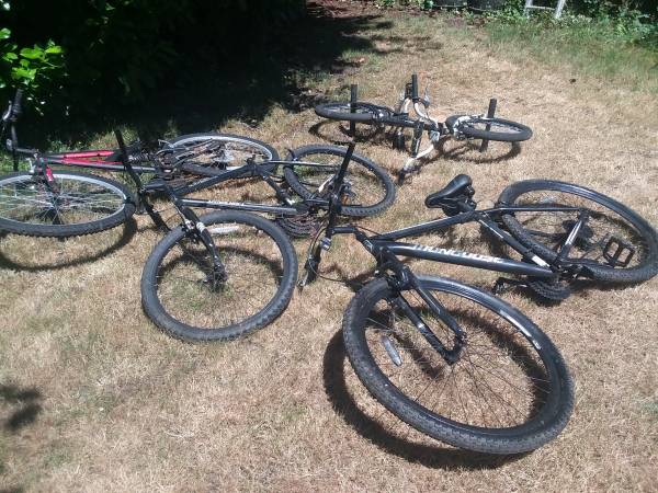 4 bicicletas usadas para adultos todo por - $100 (Olympia Lacey)63471420340995122