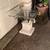 Unique beautiful glass top coffee table, center table, end table, side 16 thumbnail